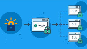 622eeae40c6d1.png 通配符SSL證書.png