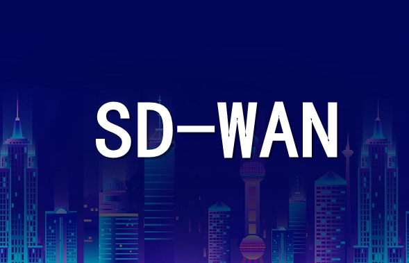 65b20e1cc72a1.png 企業(yè)總部和分部使用SD-WAN技術(shù)有哪些優(yōu)勢和步驟?.png