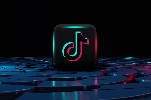 65b9eae9eda6f.png 菲律賓TikTok開直播需要什么網絡?.png